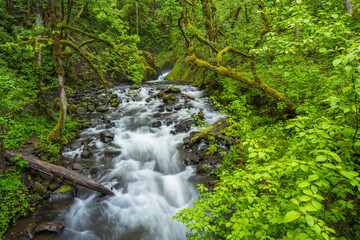 Obraz premium Bridal Veil Waterfalls and stream