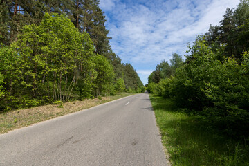 a country road of good quality in spring in a deciduous forest