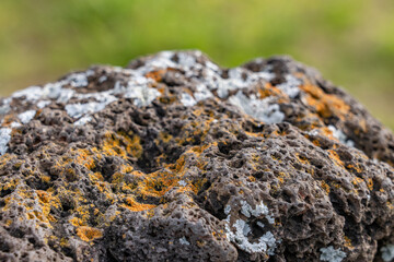 Lichen growing on basalt， Biological Weathering. Hawai'i Kai Lookout HONOLULU OAHU HAWAII
