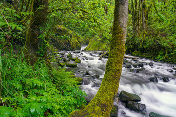 Bridal Veil Waterfalls and stream