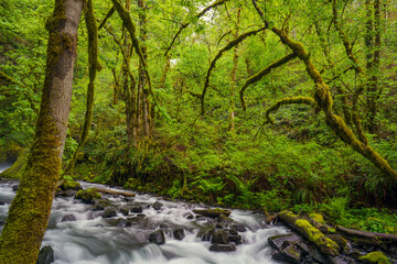 Bridal Veil Waterfalls and stream