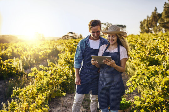 Tablet, farm and happy couple in discussion for agriculture sustainability or growth outdoor at field. Farmer, man and woman on digital technology for planning food production, plant harvest and agro