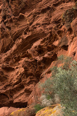 Red sandstones formations in the Areny mountain in Mont-Roig, Tarragona, Catalonia, Spain. Textures natural background.