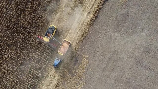 M&aacute;quina trilladora cosechando maiz y volcando a tolva de transporte.  Campo argentino, vista a&eacute;rea cenital con dron