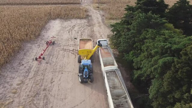 Vista diagonal a&eacute;rea de descarga de ma&iacute;z en acoplado de cami&oacute;n para transportar granos a puerto. Semillas cayendo, campos sembrados con ma&iacute;z y trigo