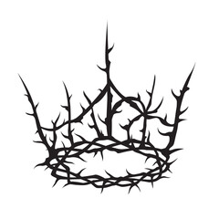 black crown of thorns image isolated on white background