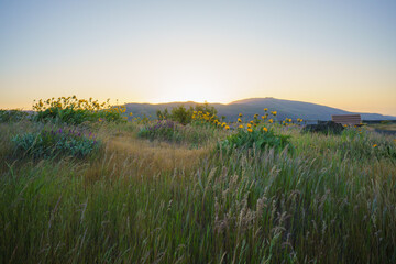 Rowena Crest Sunrise