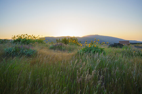 Rowena Crest Sunrise