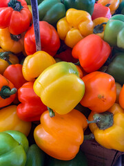 Pimientos enteros de colores rojo, amarillo, naranja y verdes.