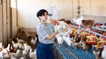 Female latino farmer holding chicken in poultry farm