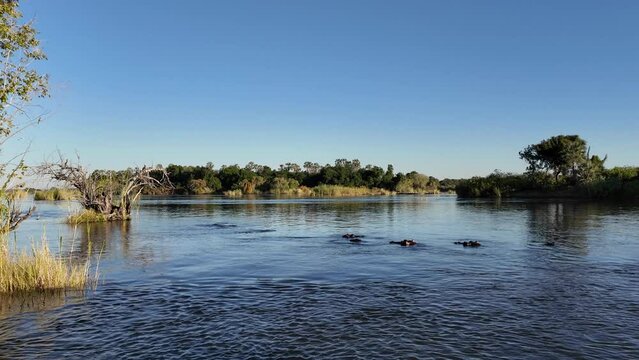 Colored Sunset At Zambezi River In Victoria Falls Zimbabwe. Colorful Sunset. Nature Landscape. Zambezi River At Victoria Falls Zimbabwe. Cruise Safari Background. Travel Scenery.
