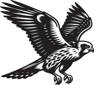 recommend clip art: harrier bird vector illustration
