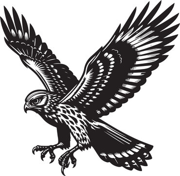 recommend clip art: harrier bird vector illustration