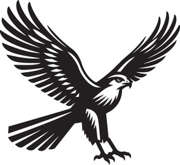 harrier bird vector illustration