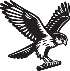 harrier bird vector illustration