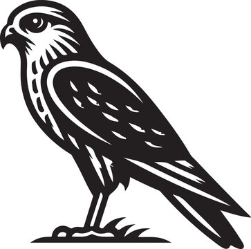 Falcons clip art preview