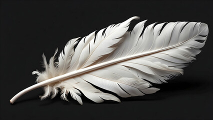 Obraz premium A highly detailed close-up of a white feather against a dark background, emphasizing texture and shape