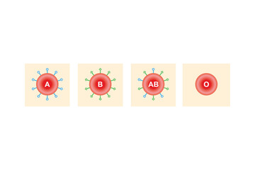 ABO Blood Group System Scientific Design. Vector Illustration.