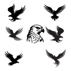 Illustration vector graphics icon set Eagle 