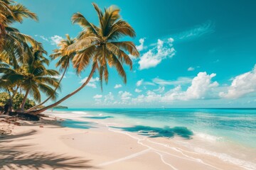 Beach with palm trees and sea on a clear day