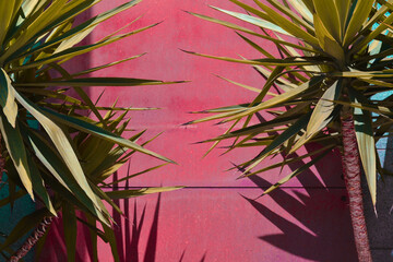 tree branches with leaves