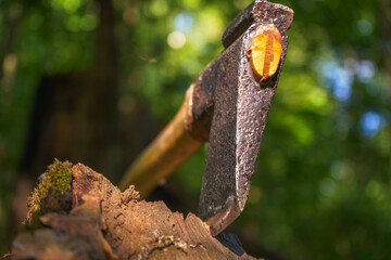 Finnish ax against a green forest background - macro close up