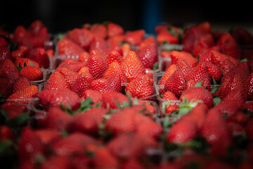 Strawberries from grocka fresh and red, for sale on a market in Belgrade, Serbia piled on a stall...