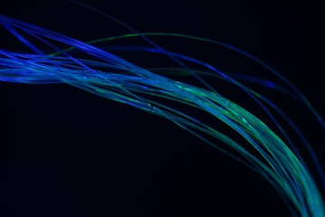 abstract background with lights in optical fibers on a black background