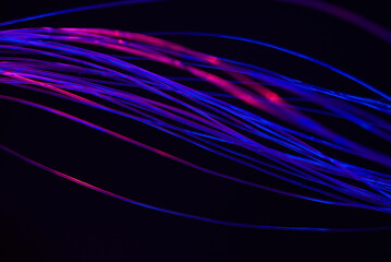 abstract background with lights in optical fibers on a black background