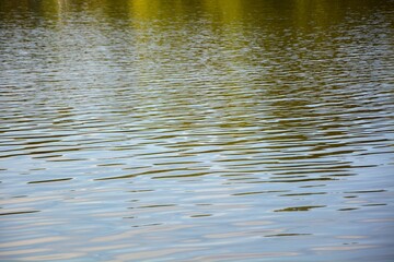 Contaminated lake - dirty water is not suitable for drinking and bathing