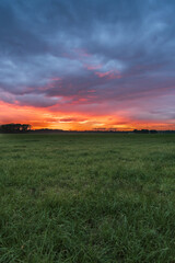 A breathtaking fiery sunset paints the sky in vibrant hues of orange and red with dramatic cloudscape over a vast green meadow in North Brabant the Netherlands.