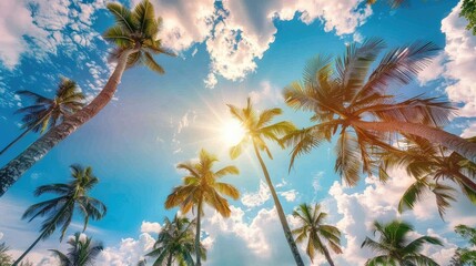 Beautiful scenery of palm coconut trees against a sunny sky with clouds