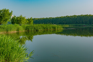 Rivers, bridges, and skylines in urban parks