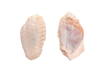 front view and back view of raw mid joint wing isolated on transparent background