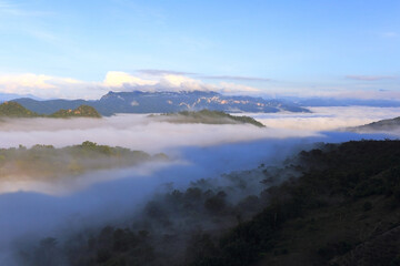 Fototapeta premium Morning mist in the middle of the western forest of Thailand 