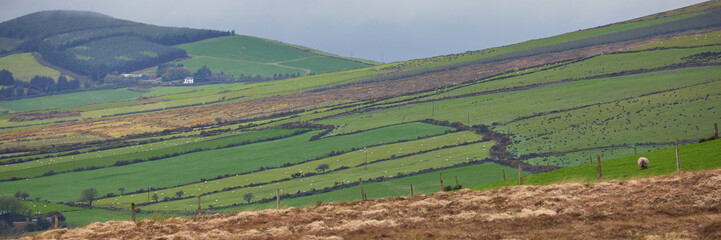 Vibrant rural Irish farmland