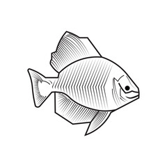 Printsea ​​fish with design typography illustration