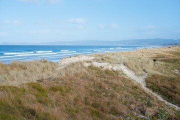 dunes in the sand