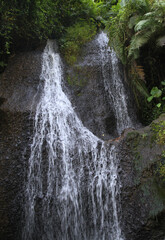 Obraz premium Small nature jungle river in west Java Indonesia