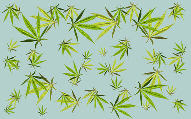 illustration of a group of several marijuana leaves overlapping each other, on a blue background