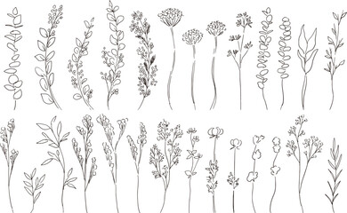 手描きの草木ベクターイラスト。ナチュラルな草木のベクターフレーム。草木の線画イラストセット。Hand drawn vector illustration of plants and trees. Natural grass and trees vector frame. Line drawing illustration set of plants and trees.