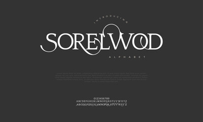 Sorewold premium luxury elegant alphabet letters and numbers. Vintage wedding typography classic serif font decorative vintage retro. creative vector illustration