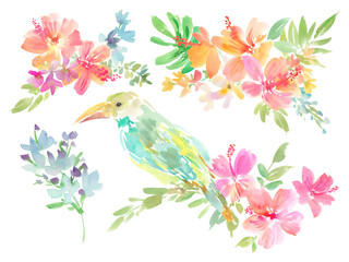  Set of transparent background illustrations of hibiscus, tropical plants, and tucan painted in watercolor