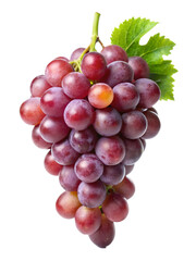 Fototapeta premium grape