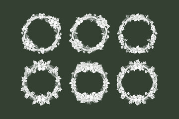 Hand Drawn Tropical Leaf and Flower Background