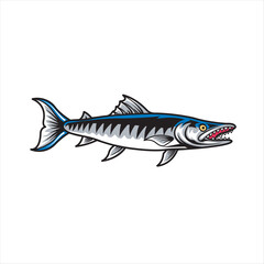 Vector Illustration of Barracuda Fish with Vintage Illustration