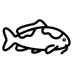 Koi fish