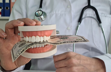 Doctor Holding Dental Model With Dollar Bill