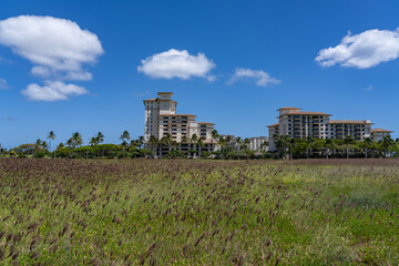 Fototapeta premium Beach Villas at Ko Olina AOAO, Kamoana Pl / Aliinui Dr, Ko Olina , Honolulu, Oahu, Hawaii, Cumulus clouds are clouds that have flat bases and are often described as puffy, cotton-like, or fluffy