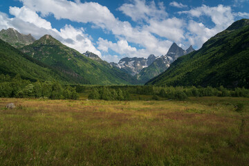 Obraz premium View of the floodplain of the Gonachkhir River in the northern foothills of the Caucasus Mountains near the village of Dombay on a sunny summer day, Karachay-Cherkessia, Russia